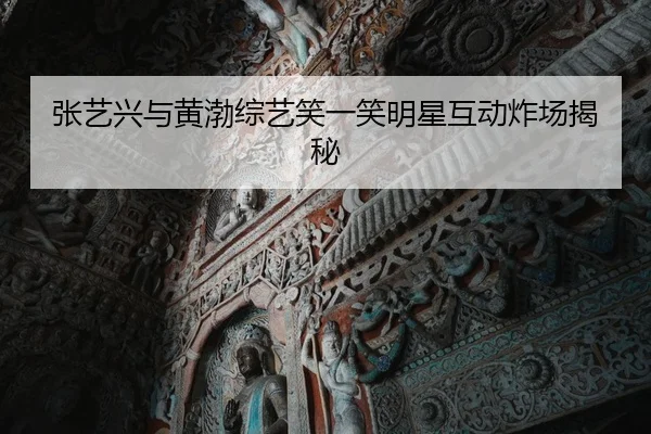 张艺兴与黄渤综艺笑一笑明星互动炸场揭秘